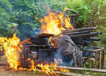 Operação de desintrusão destrói maquinários do garimpo ilegal dentro da TI Kayapó, no Pará. — Foto: Thiago Dias: SECOM/PR