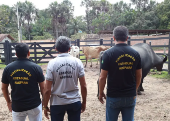 Adepará inicia campanha de atualização de cadastro de animais
