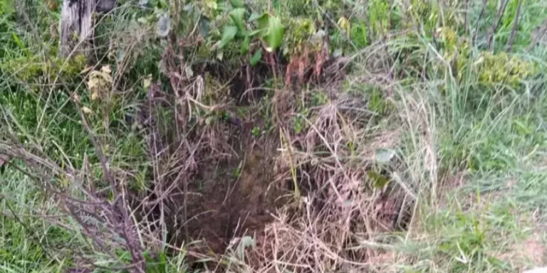 Poço onde a vítima foi encontrada morta em Anapu. (Foto: Redes Sociais)