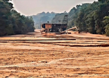 Foto: Coletivo Audiovisual Wakoborũn (@coletivowakoborun), em 2024