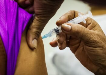 Foto: Pedro Guerreiro/ Ag.Pará