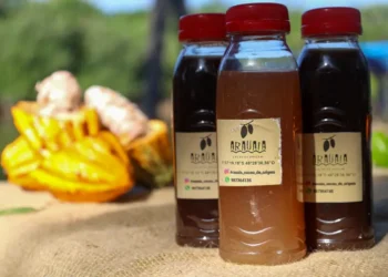 Foto: Pedro Guerreiro/ Ag. Pará