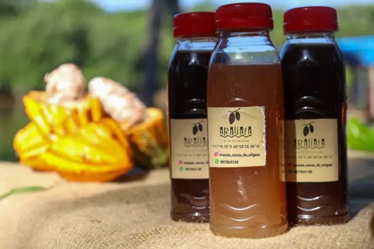 Foto: Pedro Guerreiro/ Ag. Pará