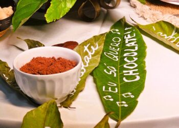 Foto: Wilson Soares / A Voz do Xingu