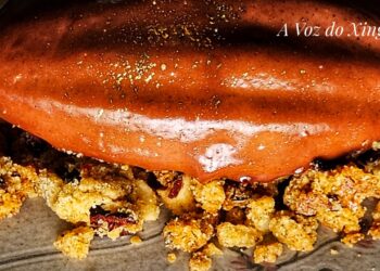 Foto: Wilson Soares / A Voz do Xingu