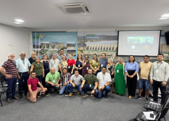 Comitê Gestor do PDRSX homologou 45 projetos com potencial transformador para os municípios do Xingu (Foto: Divulgação/MIDR)