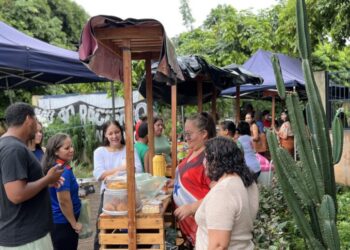 Foto: Fotos: Mateus Luz (Ascom/PMA)