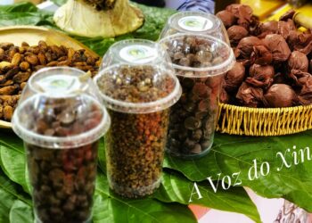 Foto: Wilson Soares / A Voz do Xingu