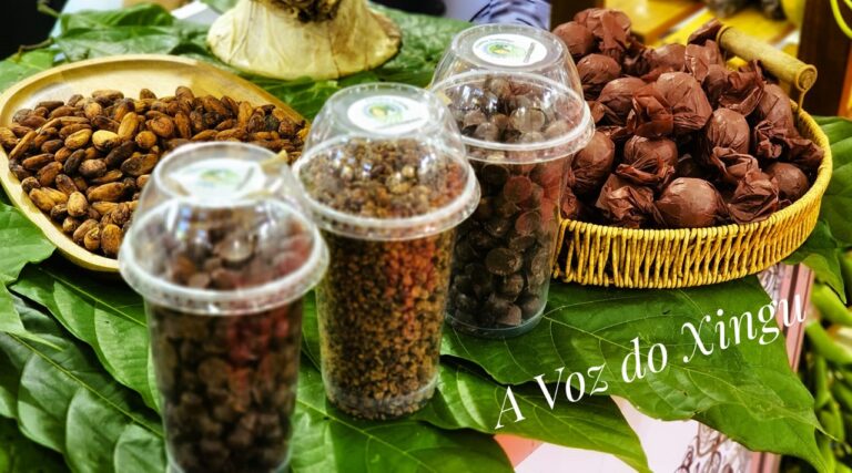 Foto: Wilson Soares / A Voz do Xingu