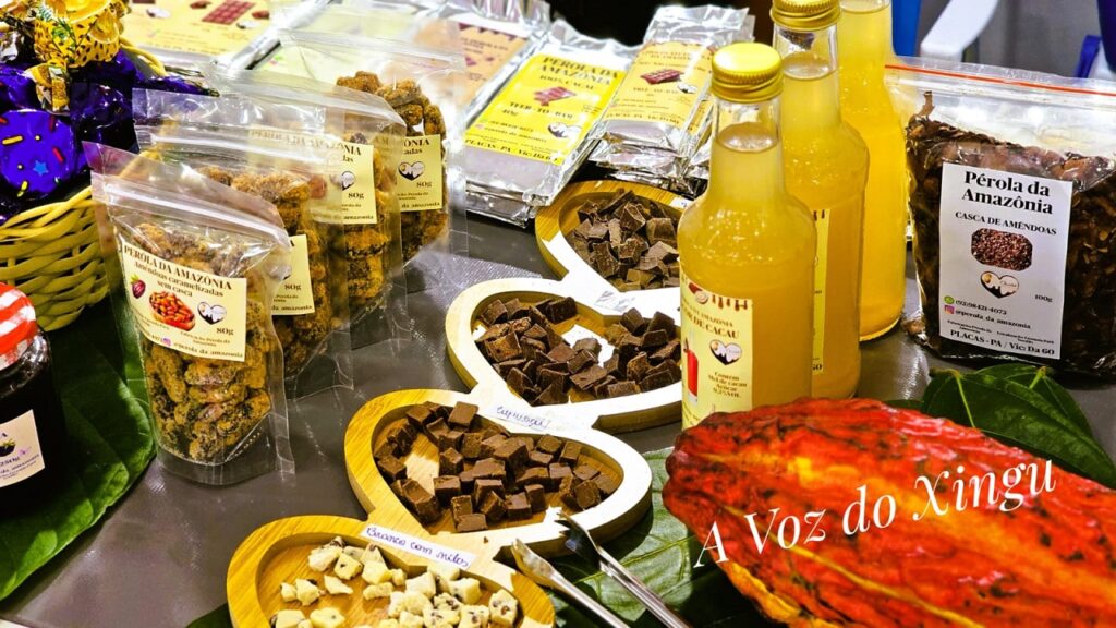 Foto: Wilson Soares - A Voz do Xingu