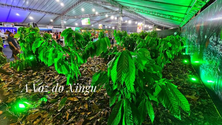 Foto: Wilson Soares / A Voz do Xingu