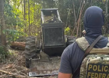 Polícia Federal deflagra operação contra desmatamento ilegal em assentamento no oeste do Pará (Foto: Divulgação | PF)