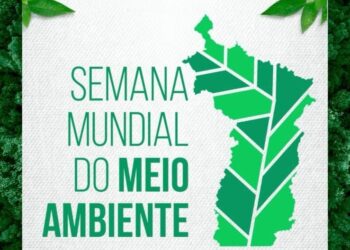 Altamira celebra a Semana do Meio Ambiente com programação especial organizada pela prefeitura