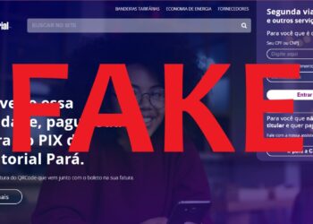 Site fake: Equatorial Pará dá dicas de segurança para evitar golpes