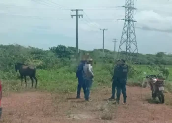 A imagem mostra os policiais durante a ação que fechou um matadouro clandestino no Marajó. (Foto: Noticias Marajó / Divulgação)