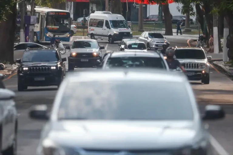 Foto: Agência Pará / Divulgação