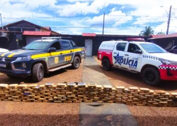 PRF e PM apreendem 200 kg de maconha em fundo falso de caminhão em Anapu (PA)