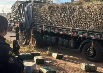 A ação faz parte da Fase II da Operação Kaiapó, conduzida pelo Governo Federal, com ênfase na desintrusão de terras demarcadas e no combate a crimes ambientais. (Divulgação/ PRF)