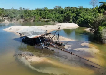 Foto: Agência Pará / Divulgação