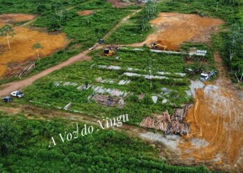 Foto: A Voz do Xingu