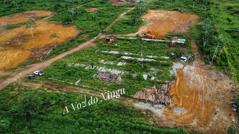 Foto: A Voz do Xingu