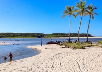 Foto: Agência Pará / Divulgação