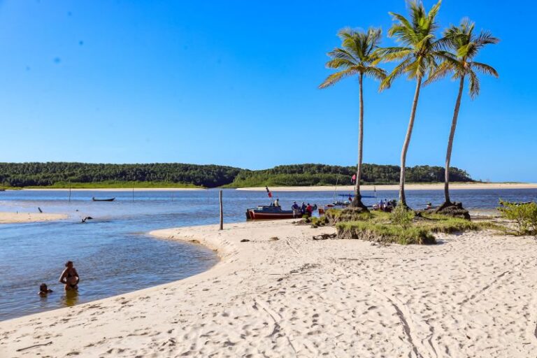 Foto: Agência Pará / Divulgação