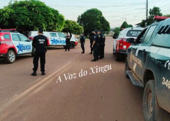 ‘Ponto Crítico’: Polícia Civil do Pará prende cerca de 100 pessoas em operação
