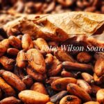 Medicilândia e Uruará levam ouro e prata e colocam Transamazônica no topo do cacau premium