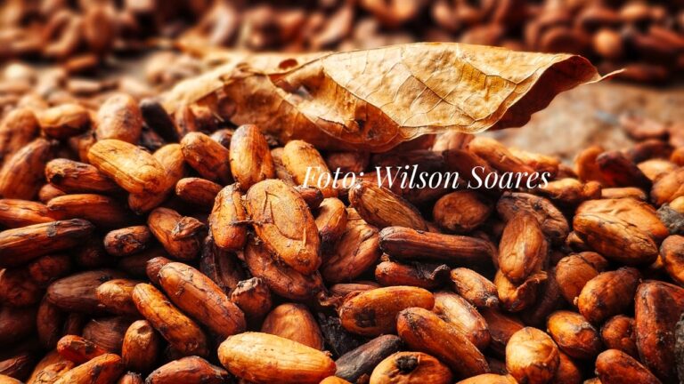 Foto: Wilson Soares - A Voz do Xingu