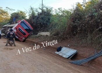Carreta carregada de madeira tomba na BR-230, na região de Medicilândia (PA)