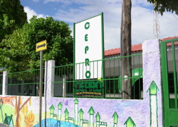 Aprenda confeitaria de forma gratuita: inscrições abertas em Altamira (PA)