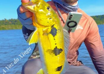 Influenciador digital visita Vitória do Xingu e destaca potencial da cidade para a pesca esportiva