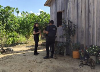 Suspeito de estuprar os próprios filhos, homem é preso em Itaituba (PA)