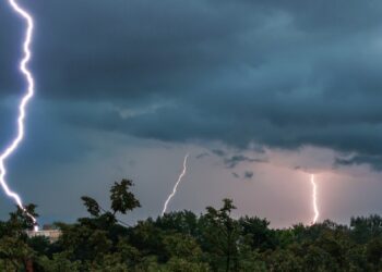 Foto: Equatorial Pará - Divulgação