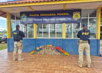 PRF apreende 140 tabletes de skunk em pneus de caminhão em Altamira (PA)