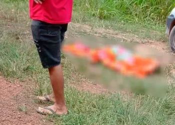 Vítima foi atingida por um carro após descer de um ônibus e tentar atravessar a rodovia (Reprodução / via jornal O Impacto)