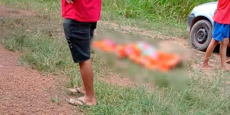 Vítima foi atingida por um carro após descer de um ônibus e tentar atravessar a rodovia (Reprodução / via jornal O Impacto)