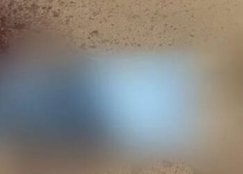 Homem é morto a pauladas no centro de Medicilândia e suspeito é preso em flagrante