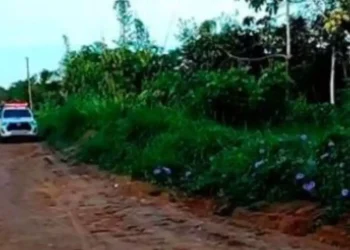 A imagem em destaque mostra uma viatura da Polícia Científica no local onde o corpo foi encontrado. (Foto: Reprodução | O Impacto)