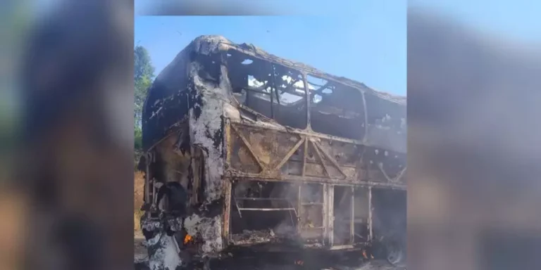 Toda a estrutura do ônibus foi consumida pelas chamas (Foto: Reprodução | Portal Giro)
