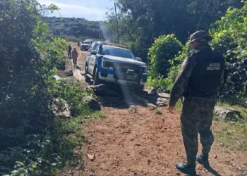Foto: Agência Pará / Divulgação