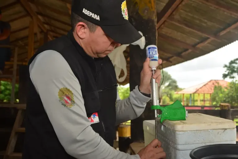 Foto: Divulgação - Agência Pará