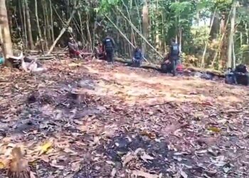 Policiais encontram destroços de avião e ossadas humanas no interior do Pará — Foto: Redes Sociais