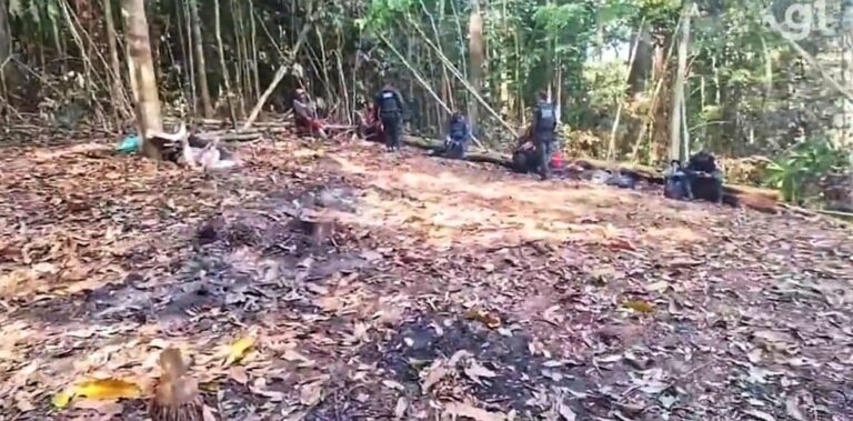 Policiais encontram destroços de avião e ossadas humanas no interior do Pará — Foto: Redes Sociais