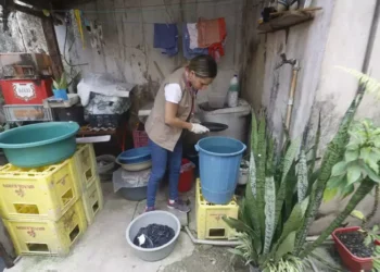 Em Belém, a Sesma tem intensificado as visitas dos agentes de endemias em residências, estabelecimentos comerciais, logradouros públicos e imóveis abandonados (Foto: Ivan Duarte/O Liberal)