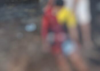 Três acidentes graves com madeira em três dias deixam dois mortos e um ferido na região do Xingu (PA)