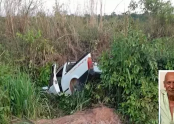 Idoso morre após caminhonete cair em barranco na PA-150, em Jacundá. (Foto: Correio de Carajás)