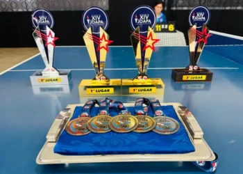 Foto: Agência Pará / Divulgação