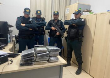 Jovem é preso com mais de 11 quilos de maconha durante abordagem em Anapu (PA)